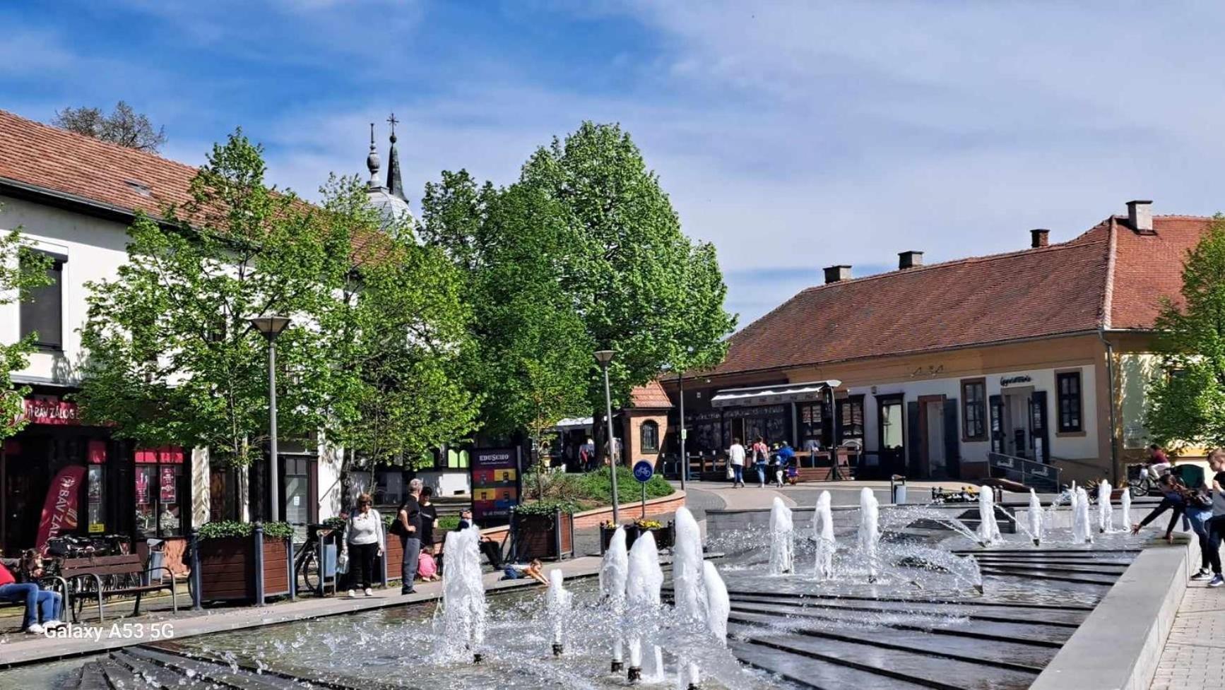 Viktoria Apartman Дьюла Экстерьер фото